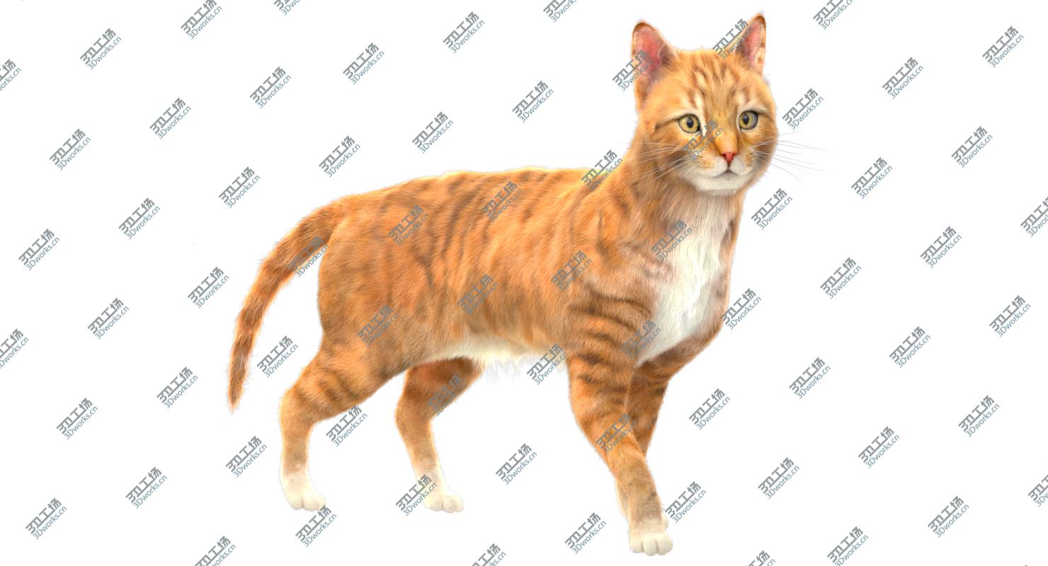 images/goods_img/2021040234/3D Yellow Cat (Fur) (Rigged)/3.jpg